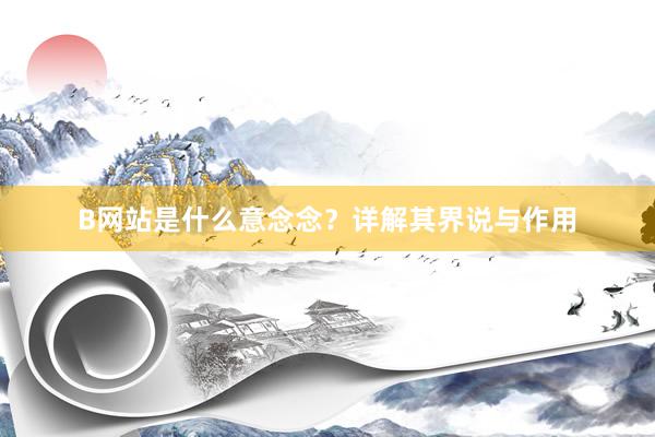 B网站是什么意念念？详解其界说与作用