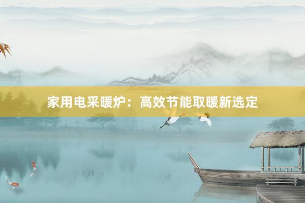 家用电采暖炉：高效节能取暖新选定