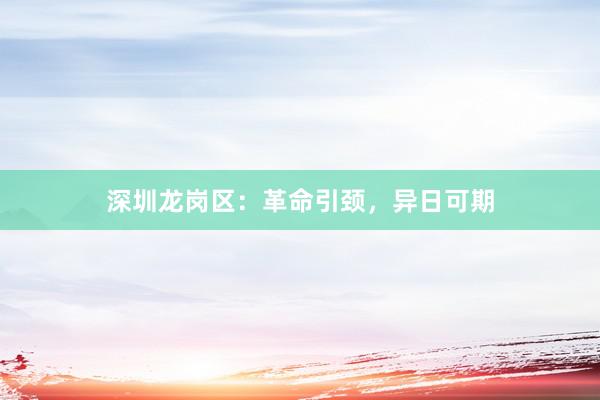 深圳龙岗区：革命引颈，异日可期