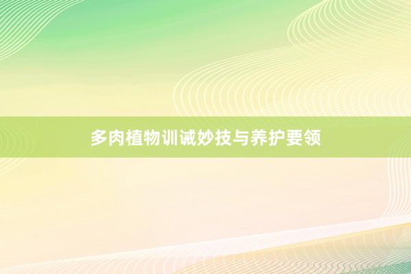 多肉植物训诫妙技与养护要领